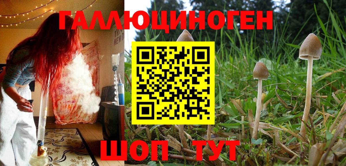 Галлюциногенные грибы GOLDEN TEACHER Лесной