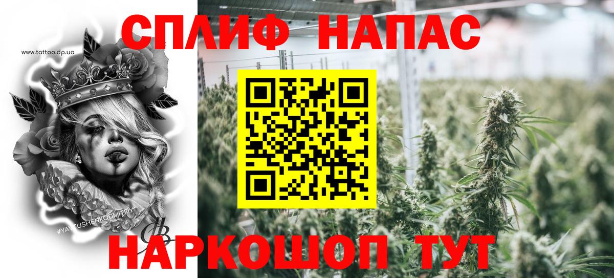 МАРИХУАНА ГИДРОПОН Лесной